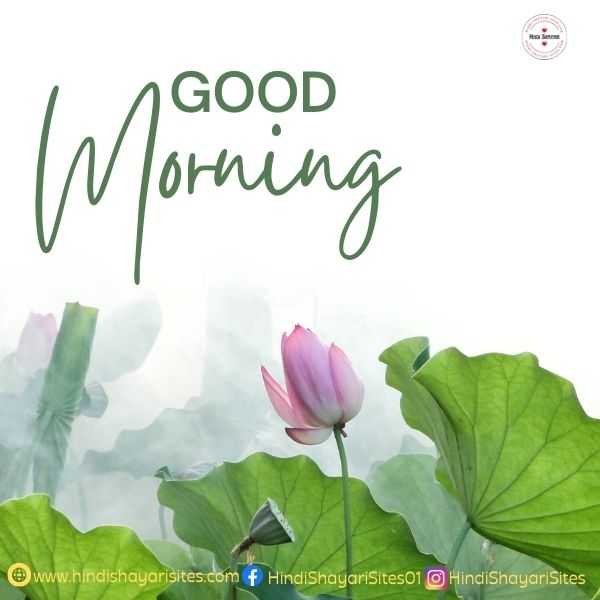beautiful Good Morning images