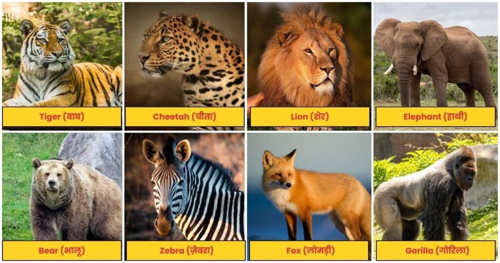 Wild Animals Name In Hindi And English With Pictures जंगली जानवर के नाम हिंदी में