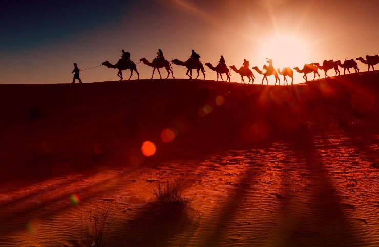 Sandsational Thrills: Unleashing the Dune Buggy Adventure in Dubai's Desert Safari